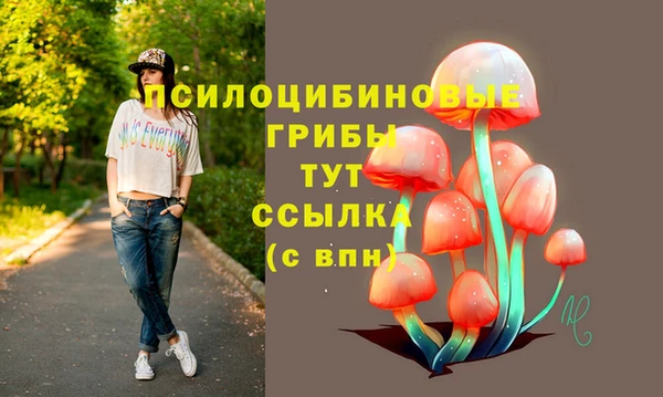 МДМА Арсеньев