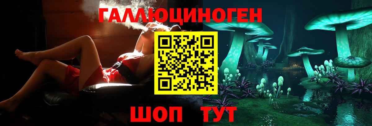 Псилоцибиновые грибы Magic Shrooms Можга