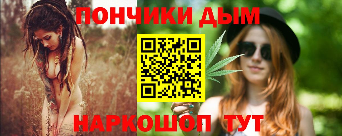 Каннабис сатива Можга